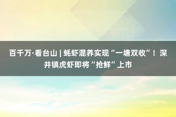 百千万·看台山 | 蚝虾混养实现“一塘双收”！深井镇虎虾即将“抢鲜”上市