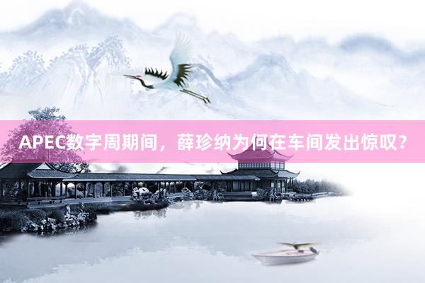 APEC数字周期间，薛珍纳为何在车间发出惊叹？
