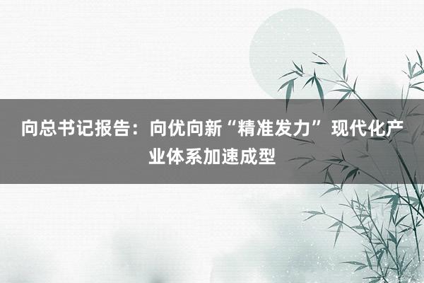 向总书记报告：向优向新“精准发力” 现代化产业体系加速成型