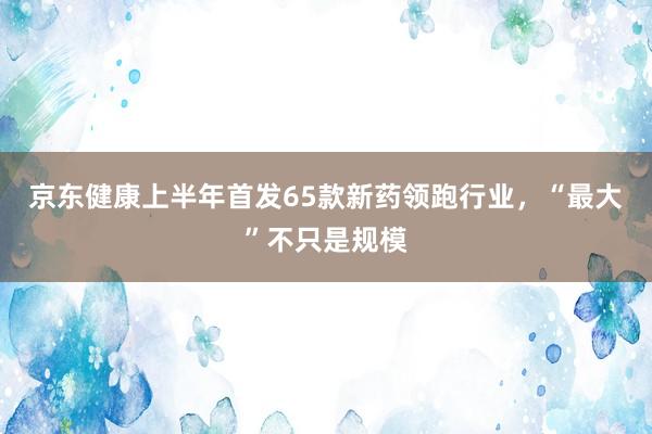 京东健康上半年首发65款新药领跑行业，“最大”不只是规模
