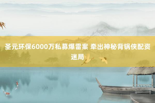 圣元环保6000万私募爆雷案 牵出神秘背锅侠配资迷局