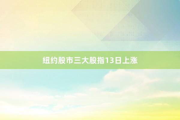 纽约股市三大股指13日上涨