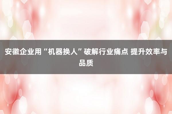 安徽企业用“机器换人”破解行业痛点 提升效率与品质