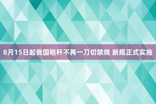 8月15日起我国秸秆不再一刀切禁烧 新规正式实施