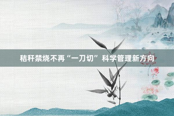 秸秆禁烧不再“一刀切” 科学管理新方向