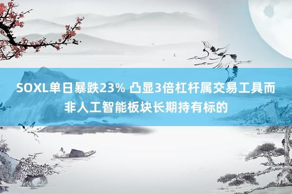 SOXL单日暴跌23% 凸显3倍杠杆属交易工具而非人工智能板块长期持有标的