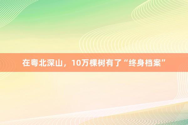 在粤北深山，10万棵树有了“终身档案”