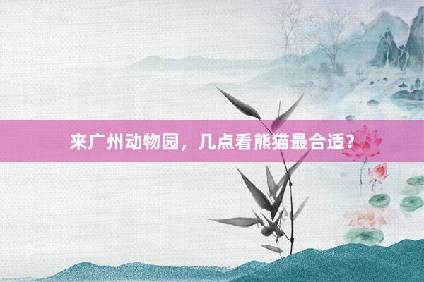 来广州动物园，几点看熊猫最合适？