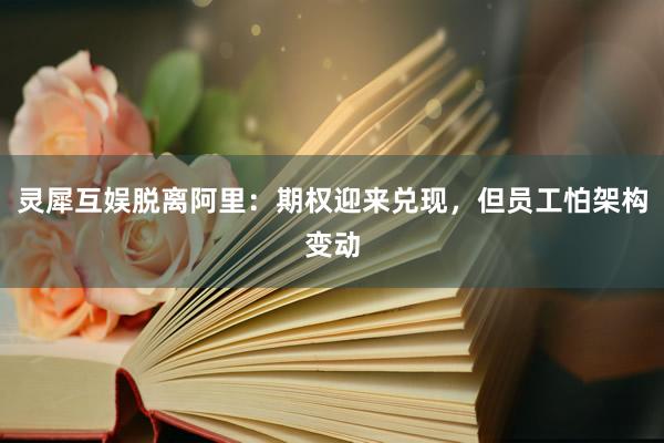 灵犀互娱脱离阿里：期权迎来兑现，但员工怕架构变动