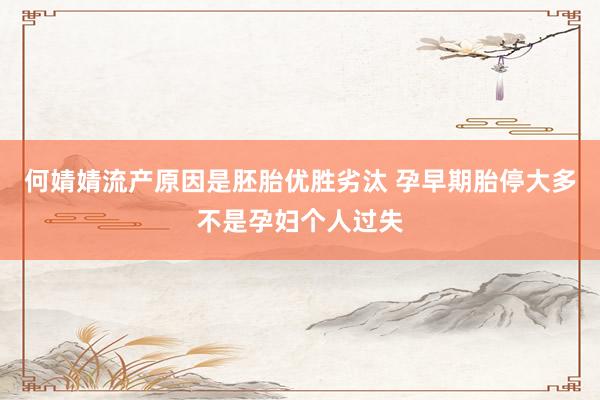 何婧婧流产原因是胚胎优胜劣汰 孕早期胎停大多不是孕妇个人过失