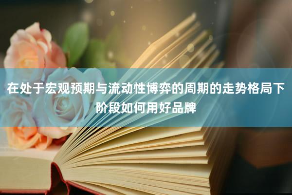 在处于宏观预期与流动性博弈的周期的走势格局下阶段如何用好品牌