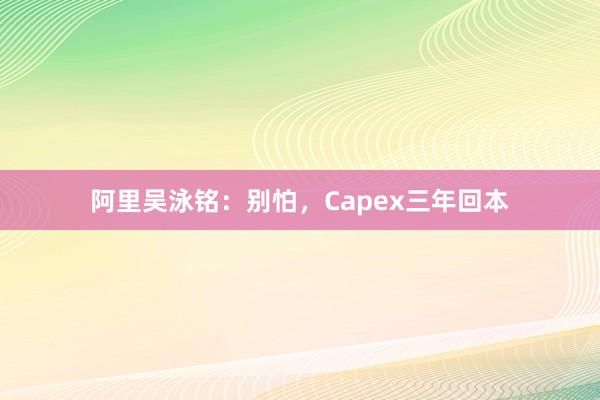 阿里吴泳铭：别怕，Capex三年回本