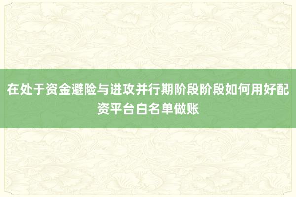 在处于资金避险与进攻并行期阶段阶段如何用好配资平台白名单做账