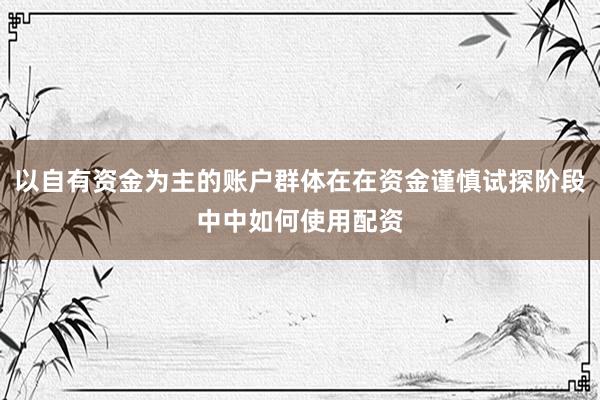 以自有资金为主的账户群体在在资金谨慎试探阶段中中如何使用配资