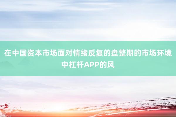 在中国资本市场面对情绪反复的盘整期的市场环境中杠杆APP的风