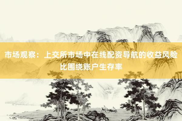 市场观察：上交所市场中在线配资导航的收益风险比围绕账户生存率