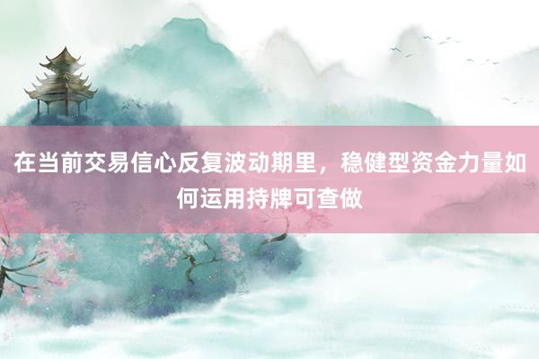 在当前交易信心反复波动期里，稳健型资金力量如何运用持牌可查做