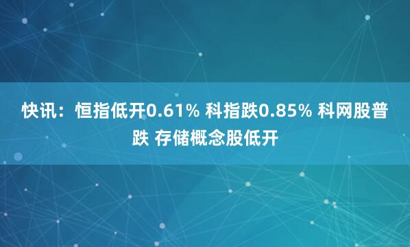 快讯：恒指低开0.61% 科指跌0.85% 科网股普跌 存储概念股低开