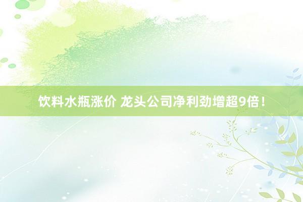 饮料水瓶涨价 龙头公司净利劲增超9倍！