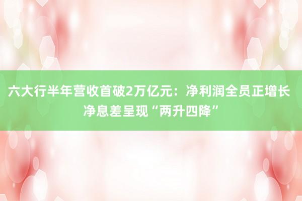 六大行半年营收首破2万亿元：净利润全员正增长 净息差呈现“两升四降”